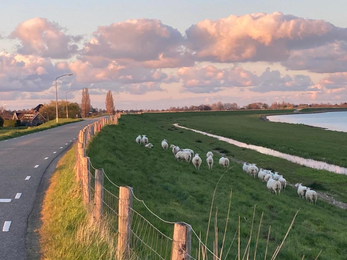 Vakantiehuis Het Uilennest Wijdenes Extérieur photo