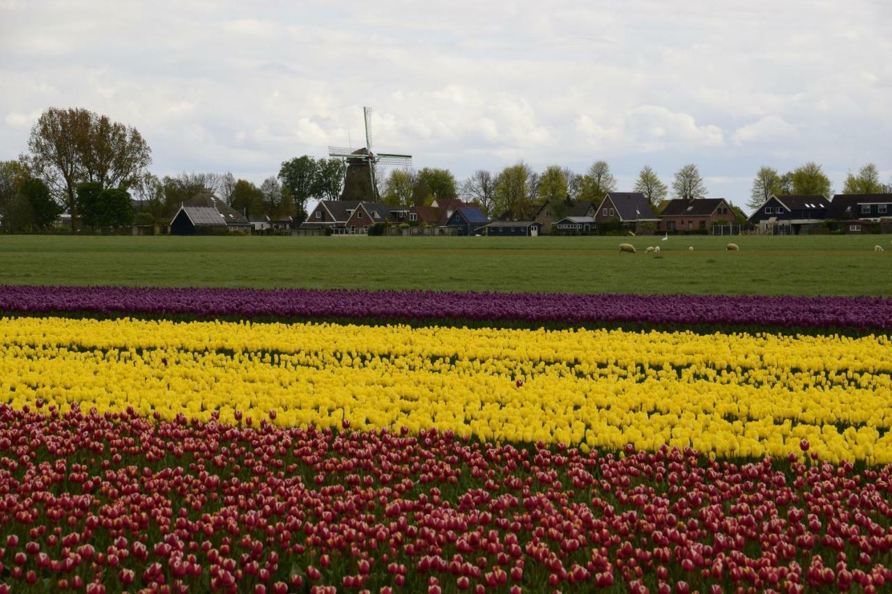 Vakantiehuis Het Uilennest Wijdenes Extérieur photo